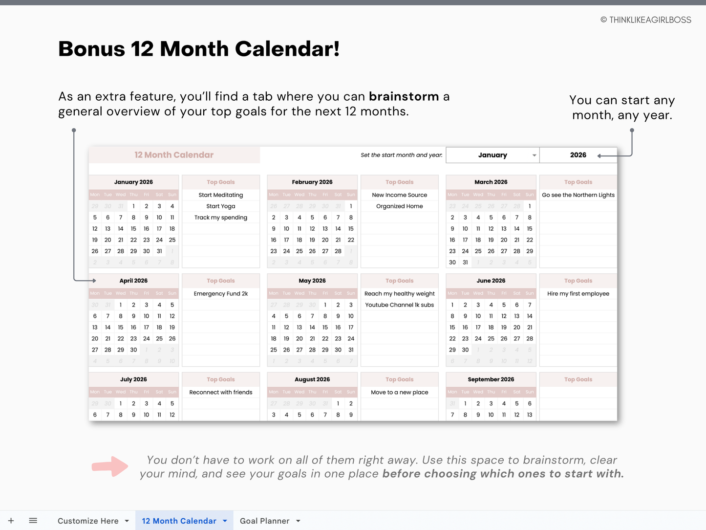 The Ultimate Goal Planner - V1 Pink