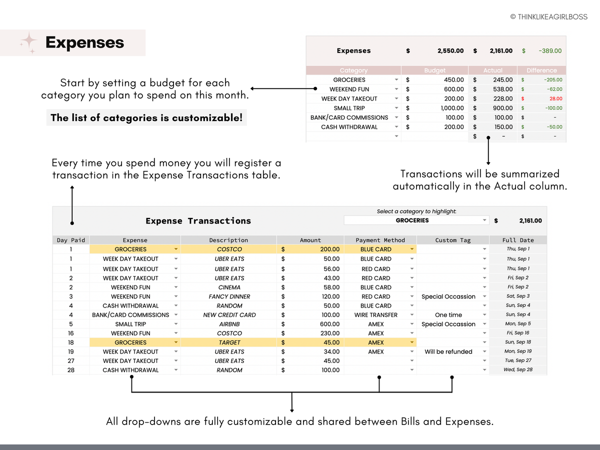 Monthly Budget Spreadsheet - V2 Pink – Think Like A Girl Boss