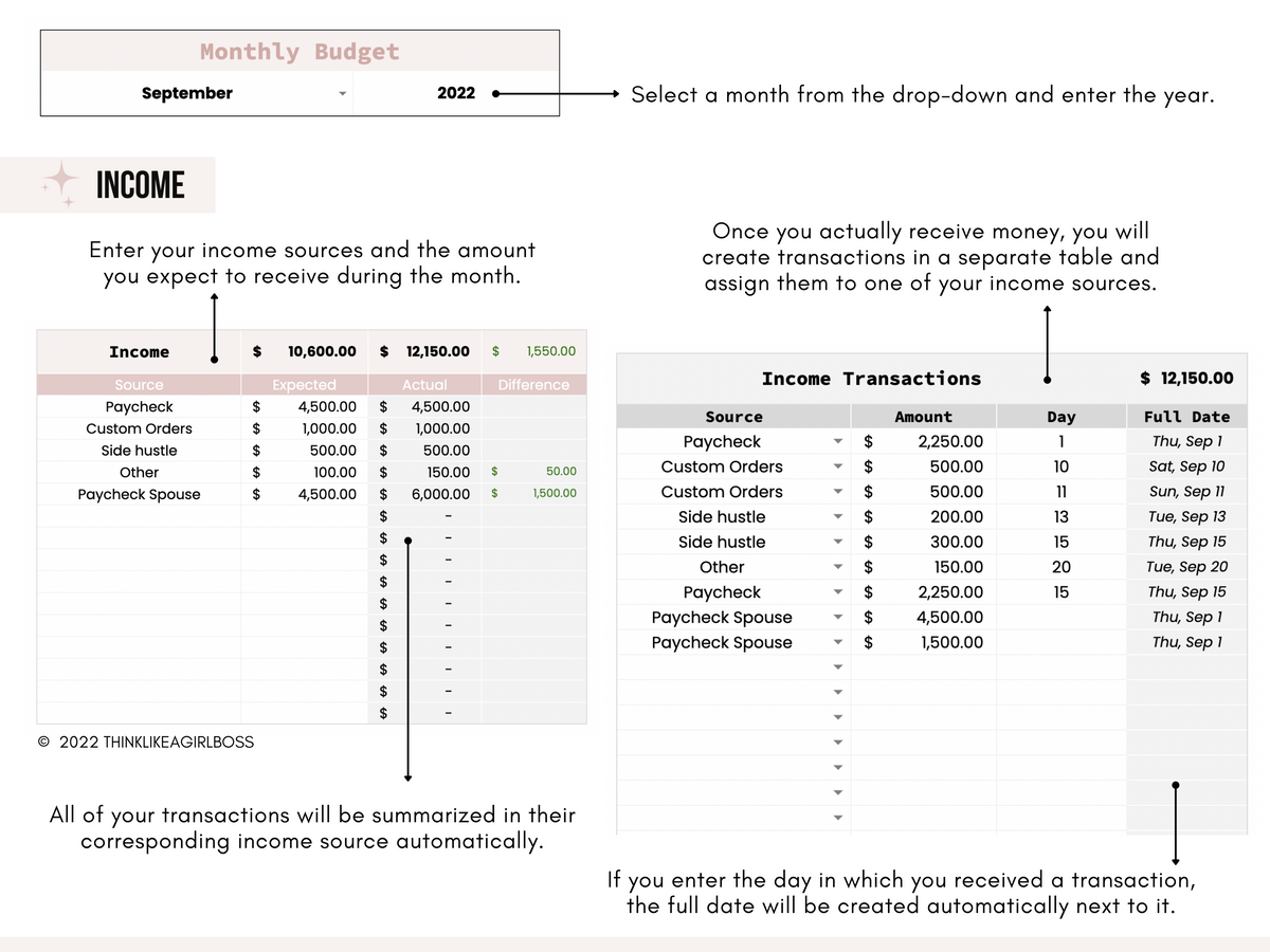 Monthly Budget Spreadsheet - V2 Pink – Think Like A Girl Boss